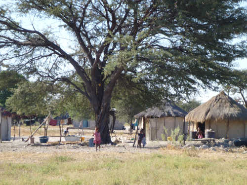 ボツワナはアフリカで大好きになった国 (5)