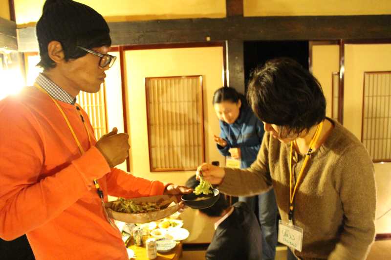 [山菜取り]タラの芽より「コシアブラ」のてんぷらの方がおいしい！愛知県では「灯台の芽」と呼ばれているよ (8)
