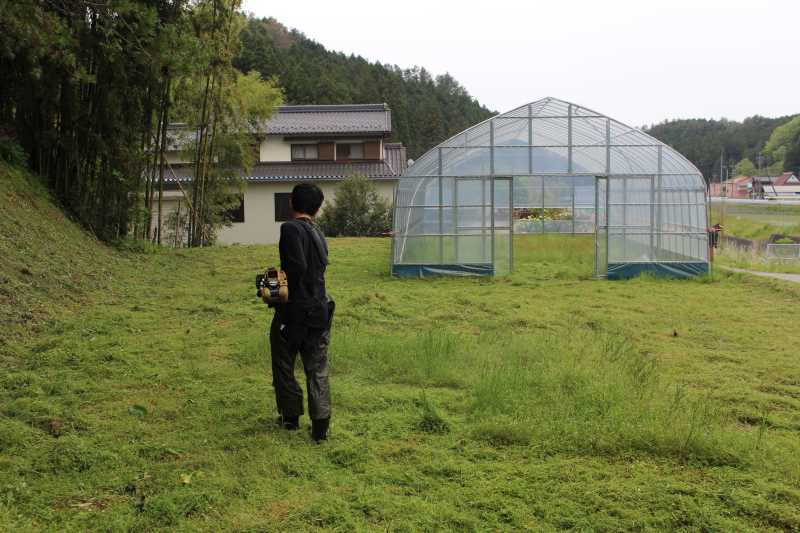 草刈機と耕運機を使いこなしてビニールハウスを耕す方法 (9)
