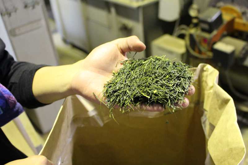 鈴木製茶のお茶工場を見学して、茶葉の作り方を聞いてきたよ！(新城市作手田代) (16)