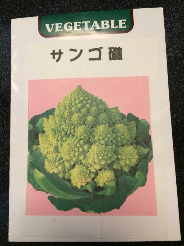 【珍しい野菜栽培】2.育てるレア野菜の種は通販で。藤田種子で発注しました！ (3)