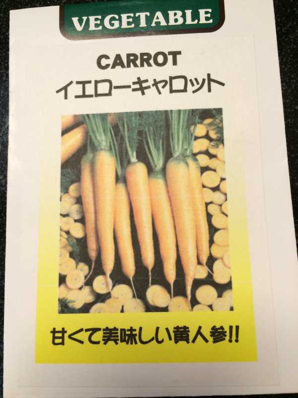 【珍しい野菜栽培】2.育てるレア野菜の種は通販で。藤田種子で発注しました！ (15)