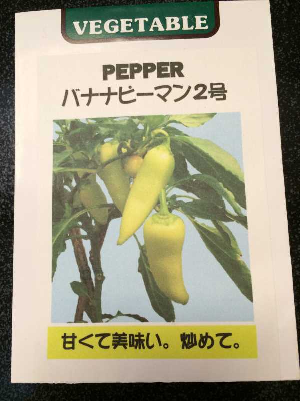 【珍しい野菜栽培】2.育てるレア野菜の種は通販で。藤田種子で発注しました！ (19)