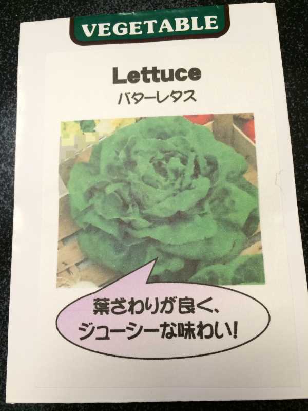 【珍しい野菜栽培】2.育てるレア野菜の種は通販で。藤田種子で発注しました！ (17)