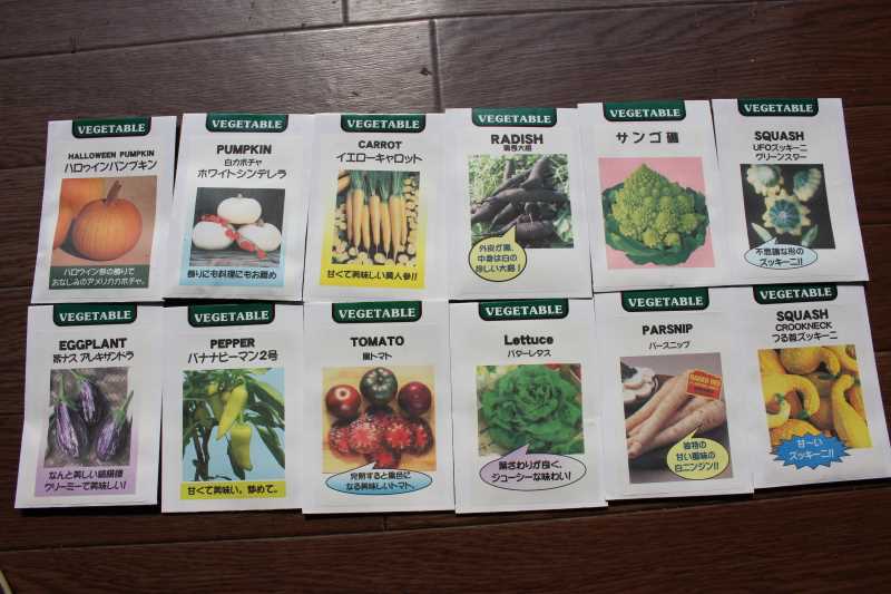 【珍しい野菜企画】2.育てるレア野菜の種は通販で。藤田種子で発注しました！ (2)