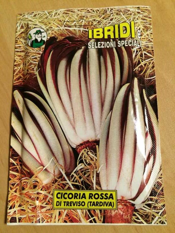 【珍しい野菜栽培】3.イタリア野菜の種が送ってもらえたので、赤チコリータルディーボなども育てます！ (4)