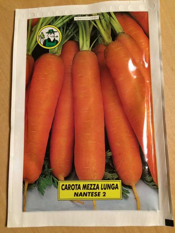 【珍しい野菜栽培】3.イタリア野菜の種が送ってもらえたので、赤チコリータルディーボなども育てます！ (6)