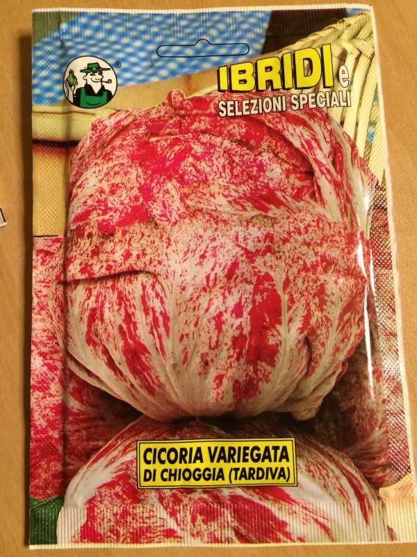 【珍しい野菜栽培】3.イタリア野菜の種が送ってもらえたので、赤チコリータルディーボなども育てます！ (3)