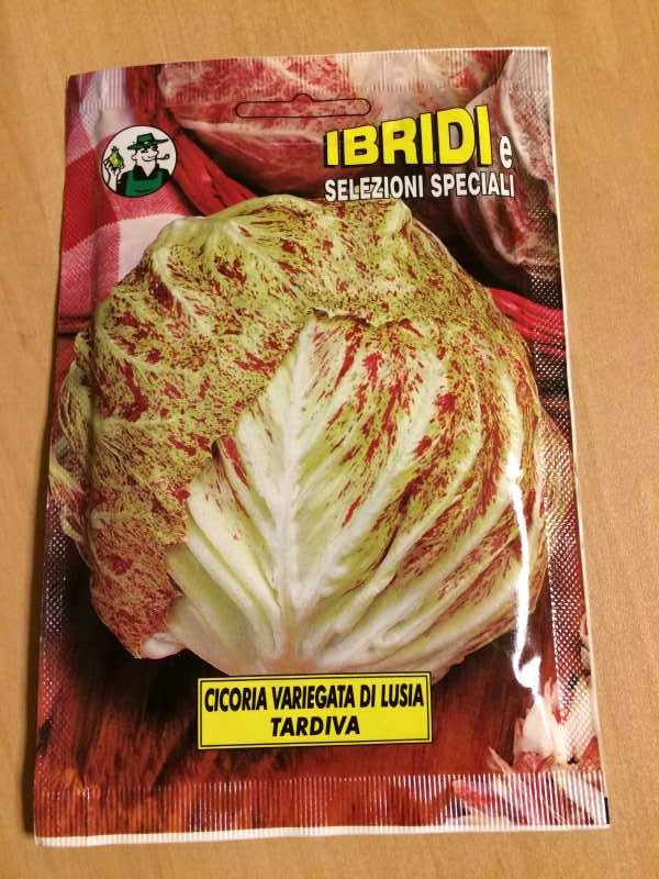 【珍しい野菜栽培】3.イタリア野菜の種が送ってもらえたので、赤チコリータルディーボなども育てます！ (1)
