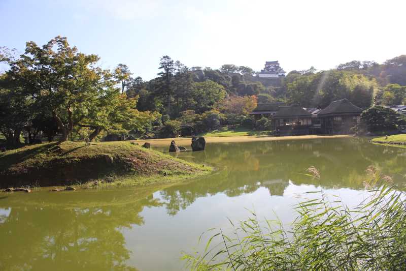 彦根城は行くべきだけど、隣の玄宮園が超おすすめ！ (12)
