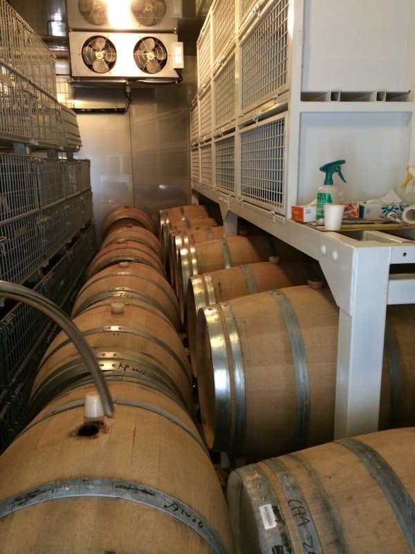 ワインの王様のぶどう品種「ピノ・ノワール」を使う山梨のワイナリーを見学してきたよ！ (11)