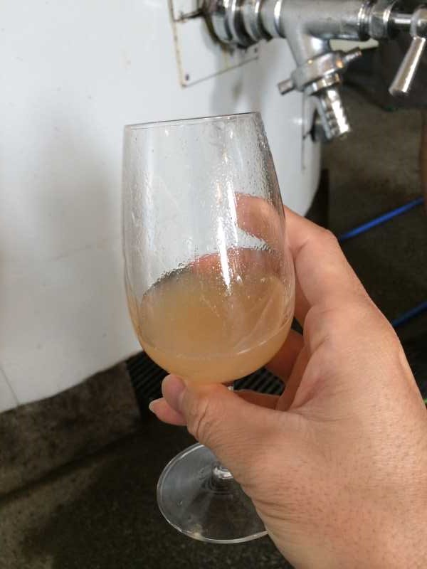 ワインの王様のぶどう品種「ピノ・ノワール」を使う山梨のワイナリーを見学してきたよ！ (10)
